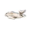Good boi - obrazek 4