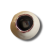 Tykwa bordo - obrazek 3